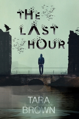 The Last Hour: A Post-Apocalyptic Survival Thriller