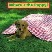 Where's the Puppy?