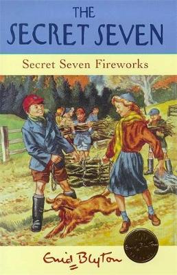 Secret Seven Fireworks: Book 11