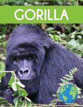Gorilla: Fascinating Animal Facts for Kids