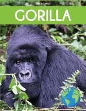 Gorilla: Fascinating Animal Facts for Kids