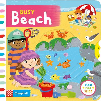 Busy Beach: A Push, Pull, Slide Book