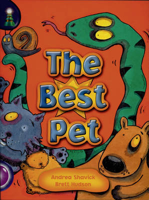Lighthouse Yr2/P3 Purple: The Best Pet (6 Pack)