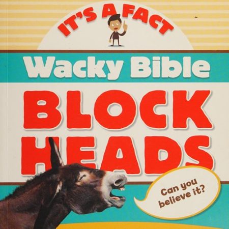 Wacky Bible Blockheads: Can you believe it?