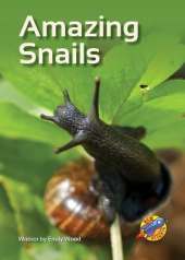 Amazing Snails