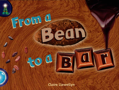 Lighthouse Yr2/P3 Turquoise: Bean to a Bar (6 Pack)