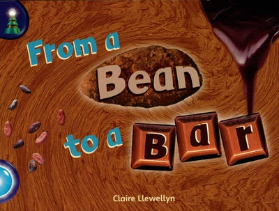 Lighthouse Yr2/P3 Turquoise: Bean to a Bar (6 Pack)