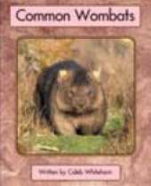 Springboard Lvl 20b: Common Wombats