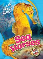 Sea Horses
