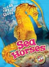 Sea Horses