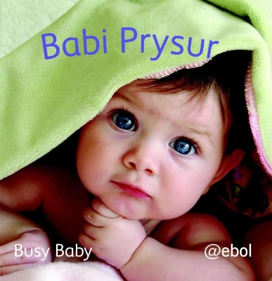 Llyfr Clwt: Babi Prysur / Cloth Book: Busy Baby: Busy Baby - My Photo Soft Cloth Book