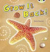 Bug Club Non-fiction Blue (KS1) A/1B Grow it Back 6-pack