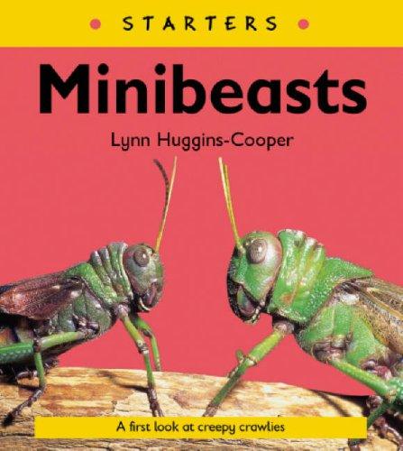 Read Write Inc. Comprehension: Module 24: Children's Book: Mini Beasts