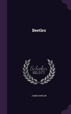 Beetles