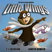 Little Wings: Mini History