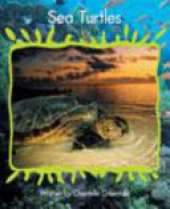 Springboard Lvl 20f: Sea Turtles