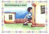 Gomotsegang O Kae?