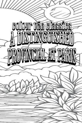 A Distinguished Provincial at Paris