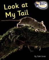 Look at My Tail: Phase 5