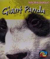 Save the Giant Panda