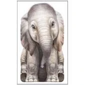 Little Elephant