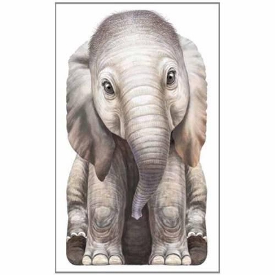 Little Elephant