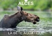 Alces - La Bete Aquatique 2017: 13 Photos D'orignaux Dans Leur Milieu Aquatique, Au Quebec