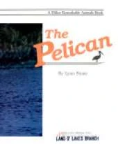 The Pelican