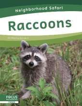 Raccoons