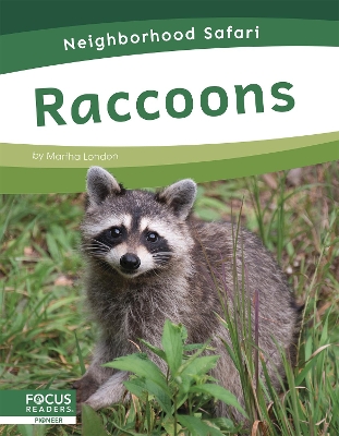 Raccoons