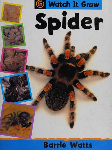 Watch It Grow: Spider