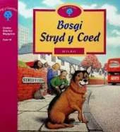 Bosgi Stryd y Coed