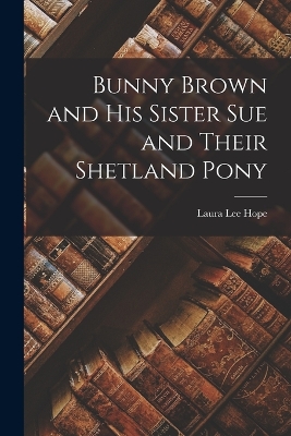 Bunny Brown and His Sister Sue and Their Shetland Pony