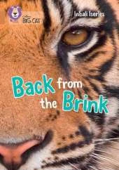 Back from the Brink: Band 12/Copper
