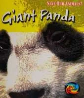 Save the Giant Panda