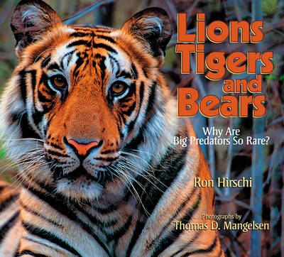 Lions, Tigers, and Bears: Why Are Big Predators So Rare?