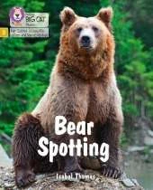 Bear Spotting: Phase 5 Set 4