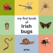 My First Book of Irish Bugs