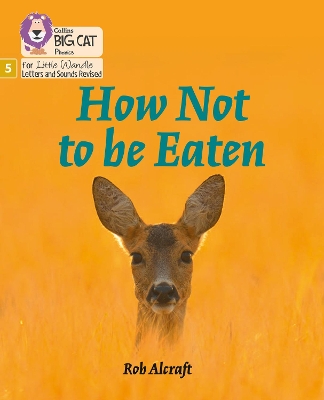 How Not to Be Eaten: Phase 5 Set 4