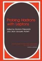 Probing Hadrons with Leptons