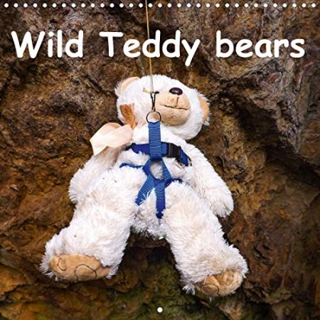 Wild Teddy bears 2020: Some fun with the Teddy bears. Monthly calender