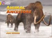 Animal Ancestors Workbook
