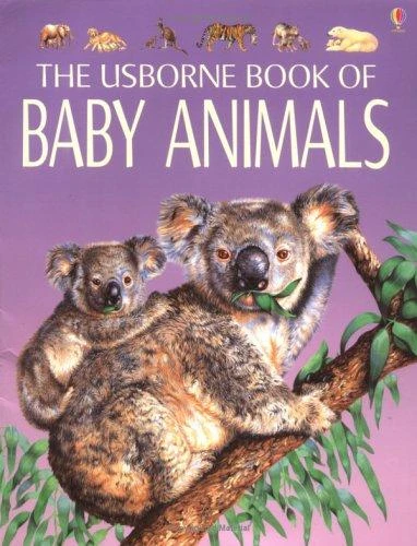Baby Animals: Young Nature