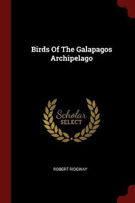 Birds Of The Galapagos Archipelago