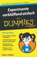 Mathematik Verstehen Fur Dummies Junior