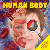 Human Body