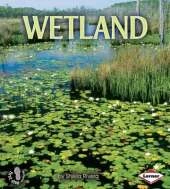 Wetland