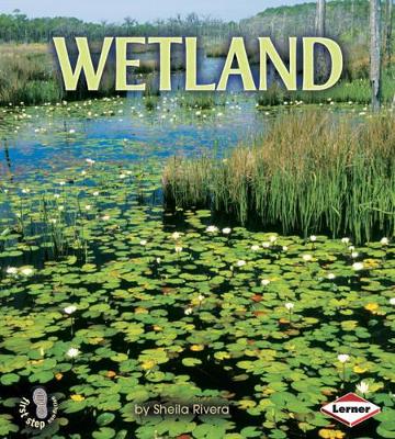 Wetland
