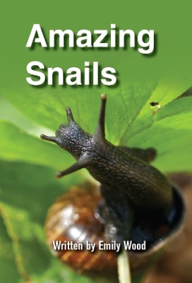 Amazing Snails