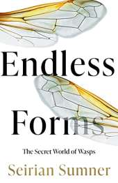 Endless Forms: Why We Should Love Wasps